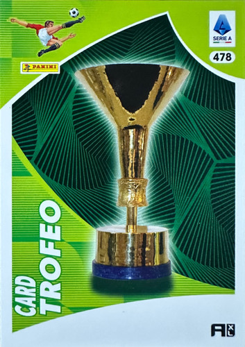 478.jpg