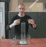 giphy (4).gif