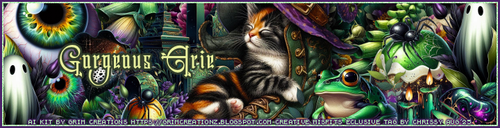 rissy WitchesBrewcGorgeousArie vi