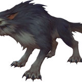 Lobo
