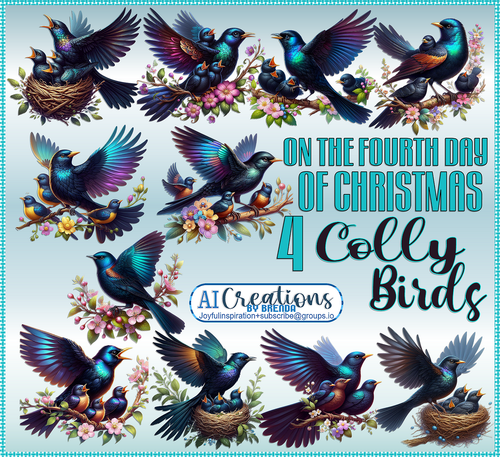 COLLY BIRDS AI CREATIONS BG11.png