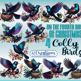 COLLY BIRDS AI CREATIONS BG11