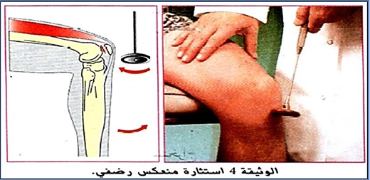 الوثيقة 9