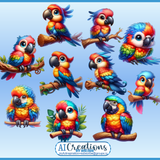 FEATHERS CREATIONS BG11