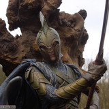 008 High Elven Warrior