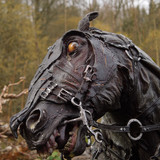 002 Nazgul Steed Bust