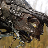 009 Nazgul Steed Bust