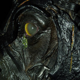 015 Nazgul Steed Bust