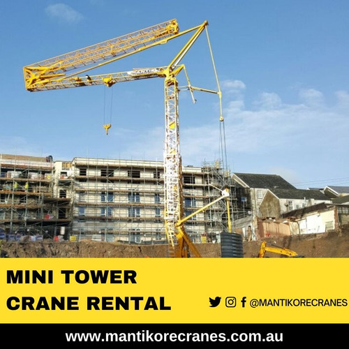 Mini Tower Crane Rental.jpg