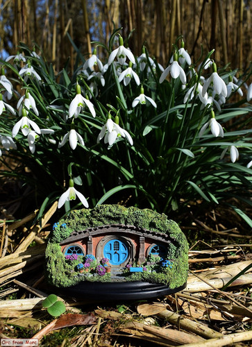 003 36 Bag Shot Row.jpg