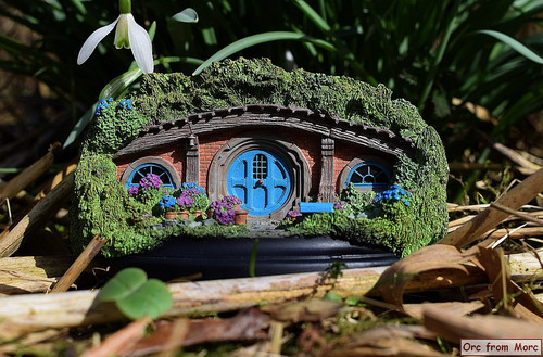 001 36 Bag Shot Row.jpg