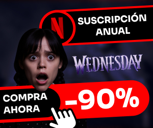 netflix 300x250.jpg
