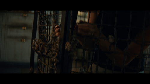 vlcsnap 2025 09 22 07h16m15s717