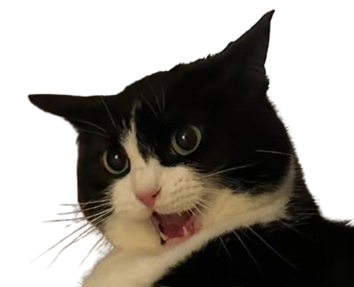 image removebg preview (3).png