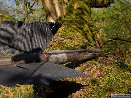 003 Black Arrow.jpg