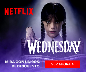 netflix 300x250 (1).jpg