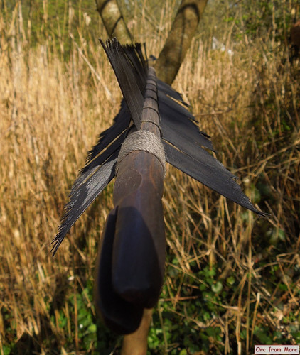 007 Black Arrow.jpg