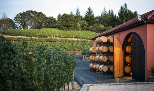 Top Wine Tour Companies Napa – Luxury Vineyard Experience.png