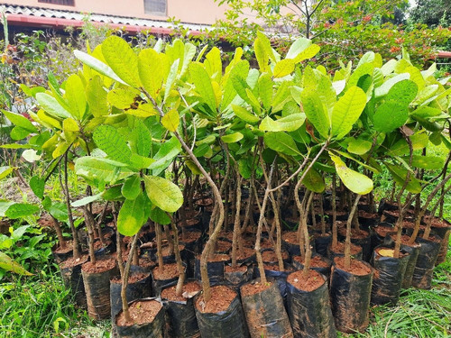 product jpeg (1).jpg
