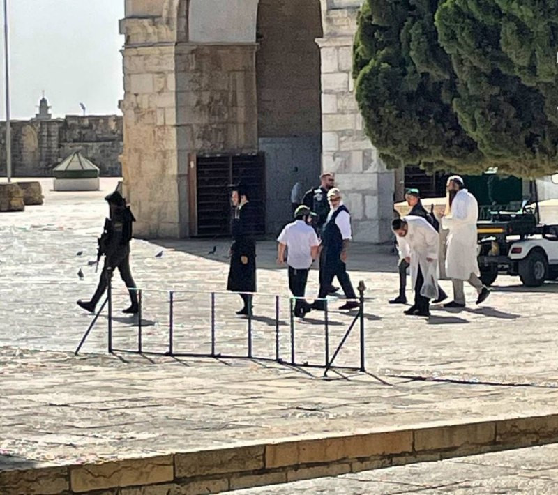 مجموعات المستوطنين تواصل استباحة المسجد الأقصى منذ صبيحة اليوم في ما يسمى "رأس السنة العبرية"....