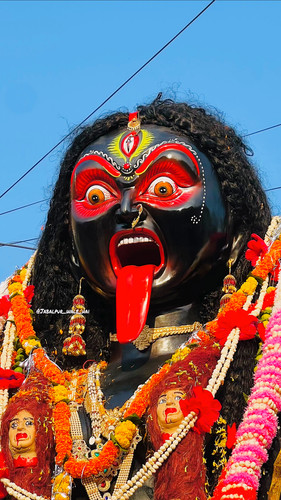 Lumii 20250923 120459221.jpg