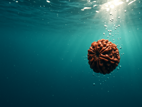 20250922 1232 Rudraksha Submerged Elegance simple compose 01k5r3m6qtevqa7yf2npwekab3.png