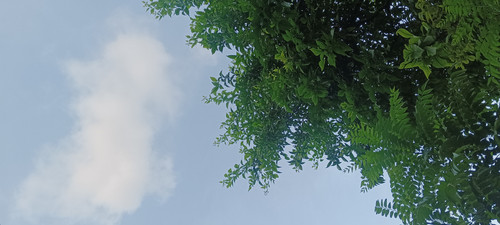 IMG 20250727 185654.jpg