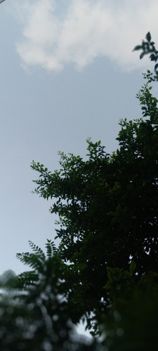 IMG 20250727 185822.jpg