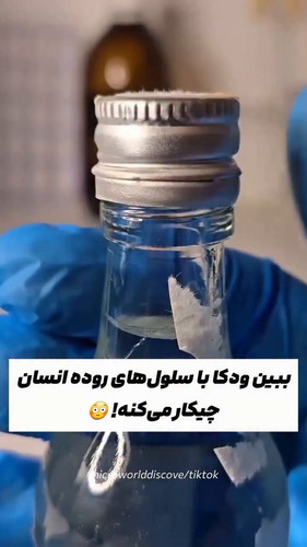 nJCCIHir6SSuhAyi.1