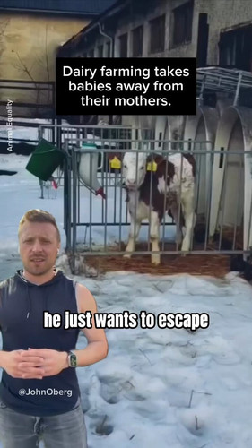 HM2 ibIwlE IzlSJ.jpg