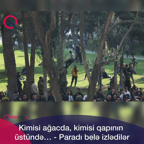 575196897 1264703569027589 7410472041338981603 n.jpg?stp=dst jpg s590x590 tt6& nc cat=110&ccb=1 7& n.jpg