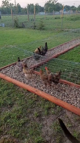 YpUoqepbtpSbHT2 .jpg