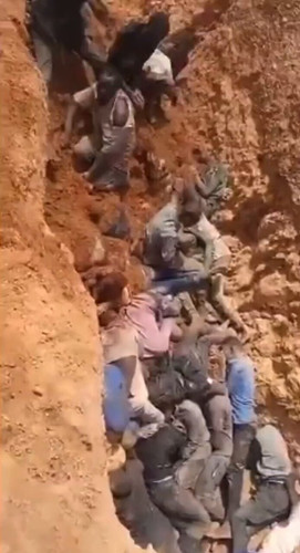 qFPiRTxFQHs lvit.jpg