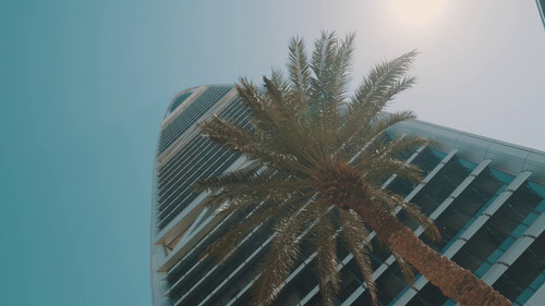 rx 48Upy08lCPypt.jpg