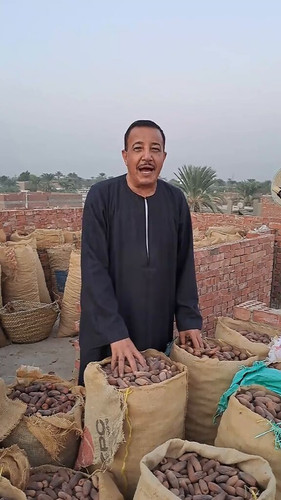 UlYSTH3 4lFaHWXn.jpg