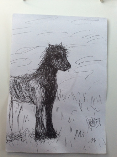 D7248AD5 C906 4AD9 A493 850A4F1A2018.jpg