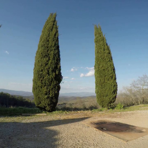 UeCFTg8x P8mukUj.jpg