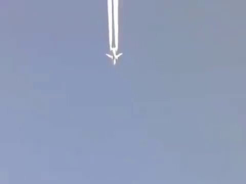 zhh 1ZzqW2NgIkMF.jpg