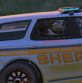 FiveM GTAProcess NdlyQfZ9bE.png