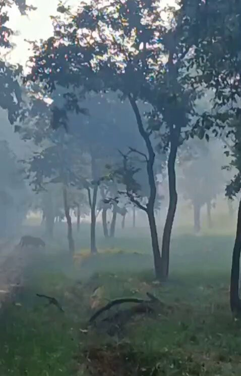 U9XG4aE xiydMrWS.jpg