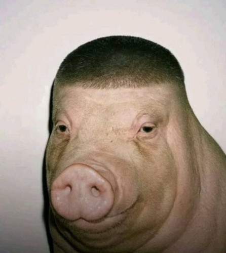 G5SJql6bsAAQWnS.jpg
