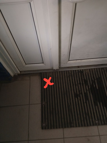 1000087725.jpg