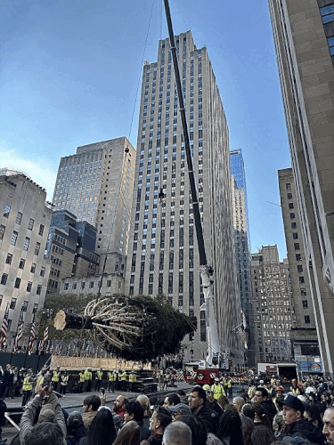 ARBRFE DE NOEL AU ROCKEFELLER CENTER PHOTOS MICHELLEGO.gif