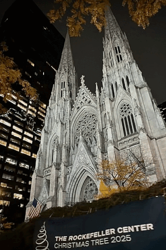 ROCKEFELLER CENTER CHRISTMAS TREE AT NIGHT ARRIVAL.gif