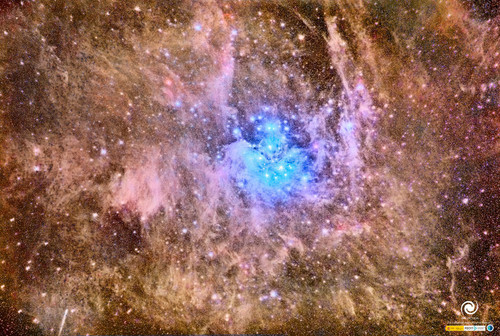 G5Vi8XGXQAAU7if.jpg