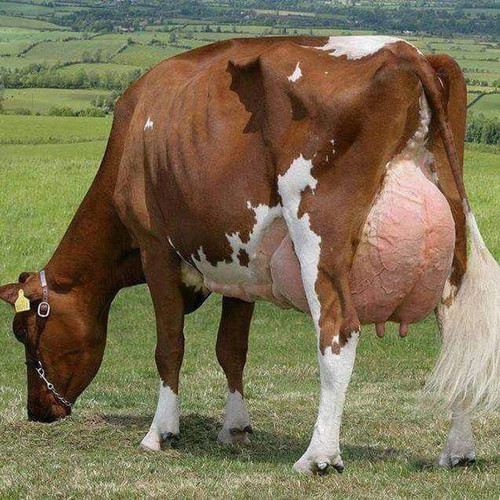 G5U5I2AWAAAkTfO.jpg