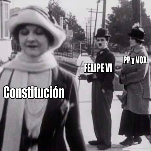 Felpudo VI Constitución.jpg