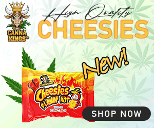 Banner 300x250 CHEESIES.gif