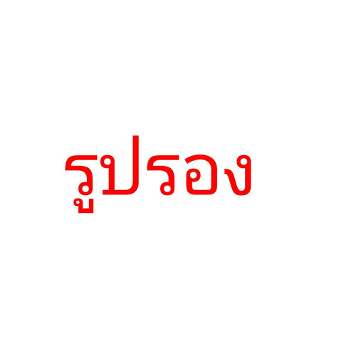 ลอง.jpg
