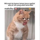 Screenshot 17.png